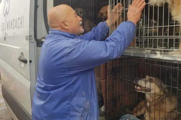 Imaginea suferinței. Radu Țermure se desparte de o parte din cățeii evacuați la Cluj - FOTO