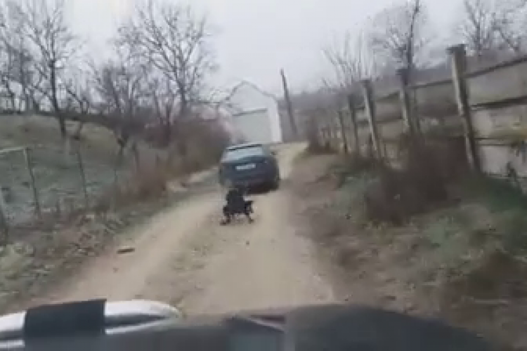 Un clujean și-a legat câinele de mașină și l-a tras după el. Oamenii cer pedepse mai dure pentru astfel de cazuri - VIDEO