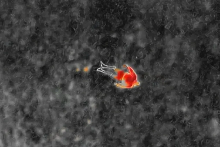 Salvamontiștii clujeni au primit o dronă dotată cu cameră cu termoviziune pentru căutarea dispăruților