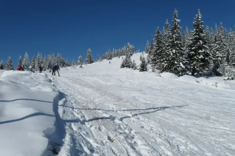 Autorul accidentului de pe pârtia Buscat era băut, fără cască și echipament: Și-a pierdut dinții din față!