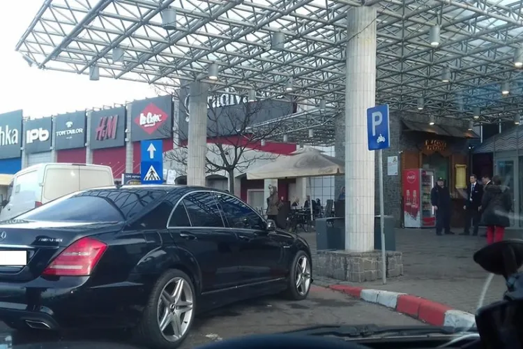 Parcare de cocalar la Vivo! Cluj. Nimeni nu ia măsuri împotriva acestor specimene - FOTO