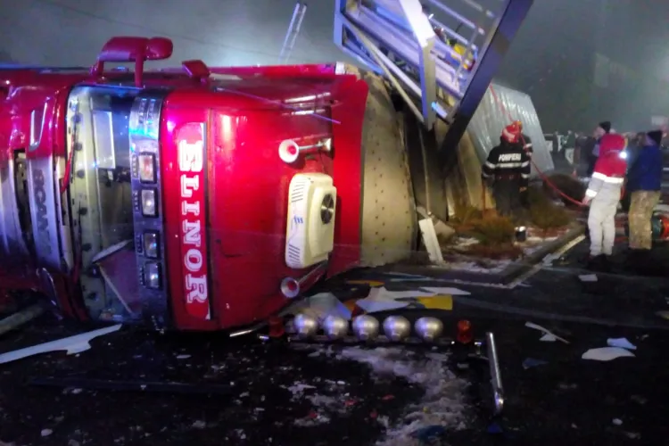 TIR plin cu porci vii, răsturnat pe un drum din Cluj FOTO