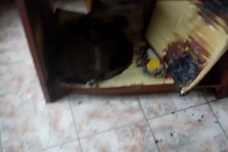 Cluj: La un pas de tragedie într-o locuință. Un incendiu a pornit de la un chibrit aruncat la gunoi FOTO