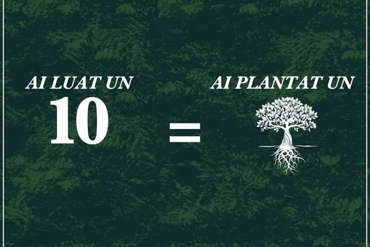 O facultate din Cluj plantează câte un copac pentru fiecare notă de 10 obținută de studenți în sesiune