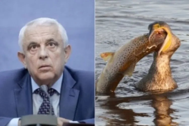 Ce afaceri ascundea Petre Daea pe spatele cormoranilor. Ministrul Agriculturii a făcut dezvaluiri