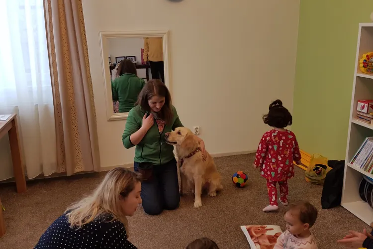 Premieră la Cluj! Prima clinică din România de psihoterapie pentru copii cu ajutorul câinilor - VIDEO