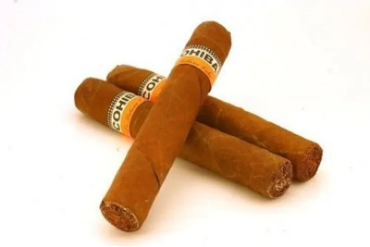 Care sunt cele mai fumate trabucuri din lume și unde le găsim (P)