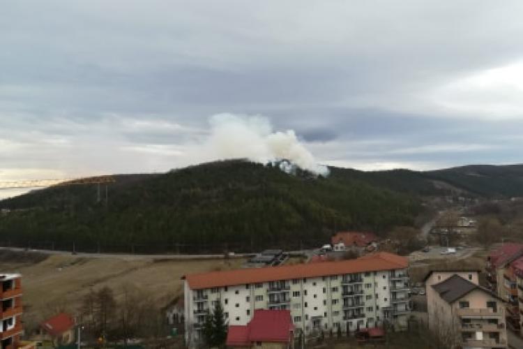 Incendiu în Pădurea Făget. Fumul e vizibil din Florești - VIDEO și FOTO