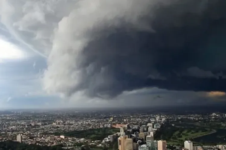 Cod Portocaliu de vânt la Cluj
