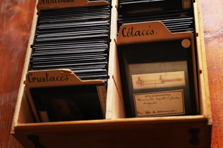 Institutul de Speologie din Cluj, primul din lumea, sărbătorește 100 de ani de la înființare - FOTO