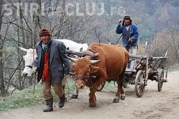 La multi ani, 2011! La inceput de an, va "explicam" cum va fi 2011, in functie de varsta pe care o aveti! 