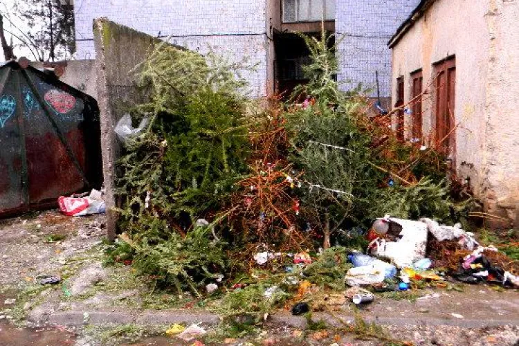 Scoateti bradul de Craciun la ghena de gunoi pana sambata, 15 ianuarie, si va fi ridicat gratis!