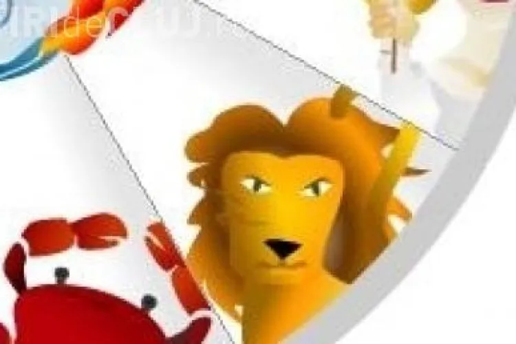 Horoscopul carierei in 2011! VEZI daca vei face cariera sau bani anul viitor