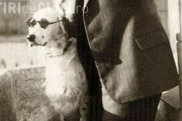 Povestea cainelui care i-a infuriat pe nazisti pentru ca imita salutul lui Hitler! FOTO