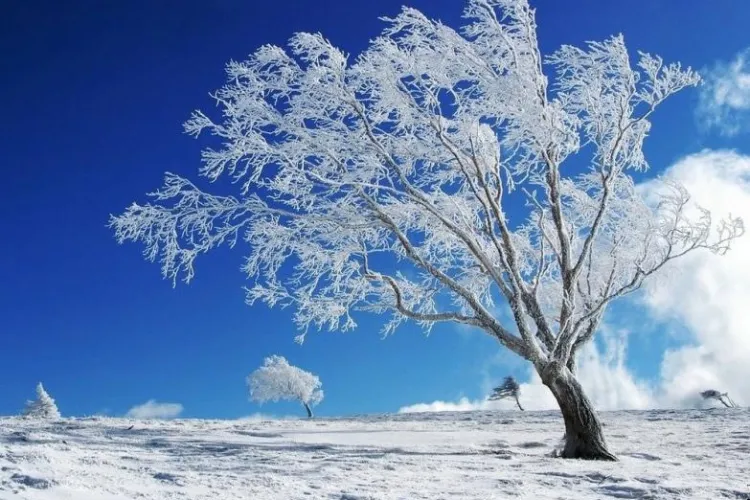 Vremea de Revelion la Cluj! Dupa ce de Craciun am avut parte de ploaie, de Revelion vine inghetul!
