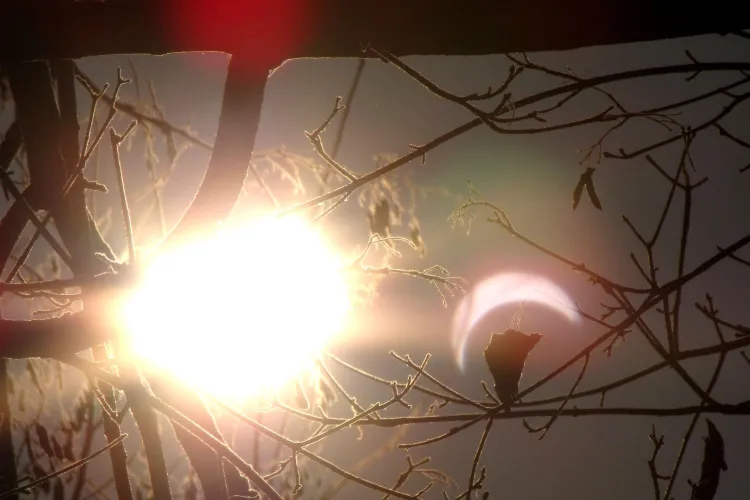 Eclipsa partiala de Soare in Romania - VEZI Galerie FOTO