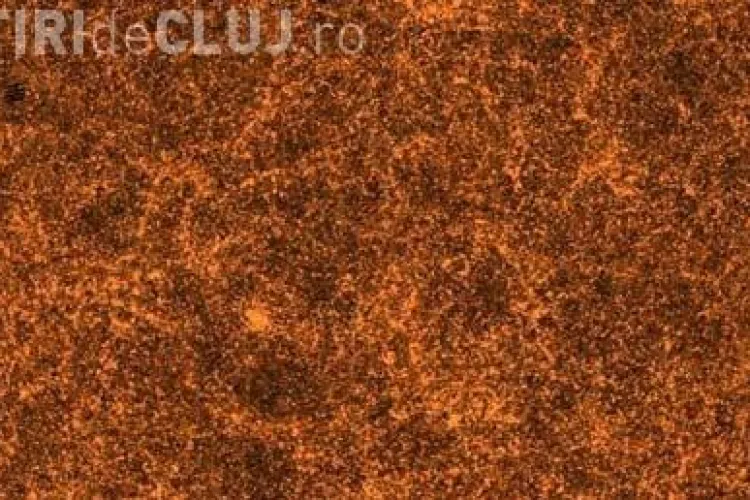 Vezi cea mai detaliata fotografie a Universului facuta vreodata - FOTO