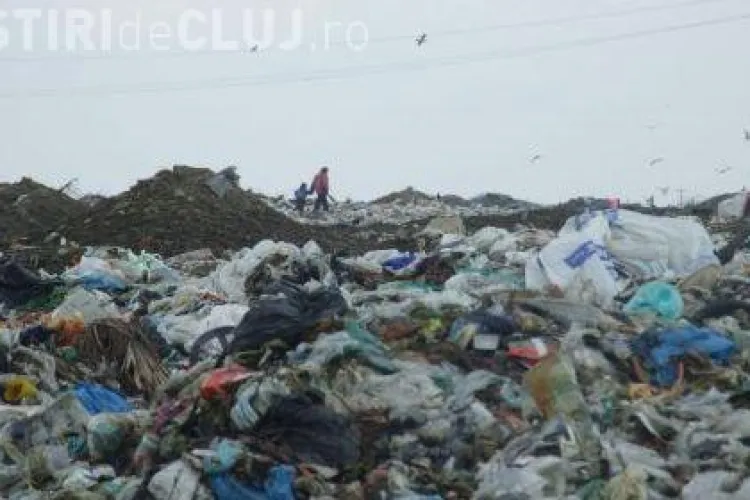 Barbat decapitat si cu membrele transate - gasit in groapa de gunoi a spitalului din Lugoj