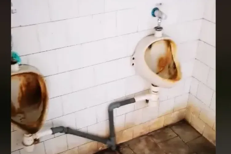 Românii care vin în țară se plâng de condițiile de carantină de la Borș - VIDEO