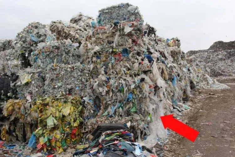 La Pata Rât se ard deșeuri din Italia! Cum fac băieții deștepți bani și Primăria Cluj se face că nu vede