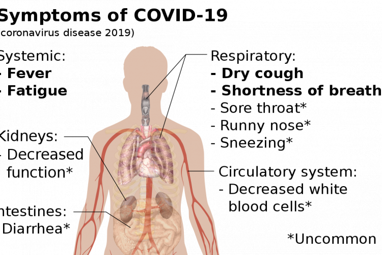 Chinezii anunță că virusul COVID-19 este o combinație între SARS și HIV