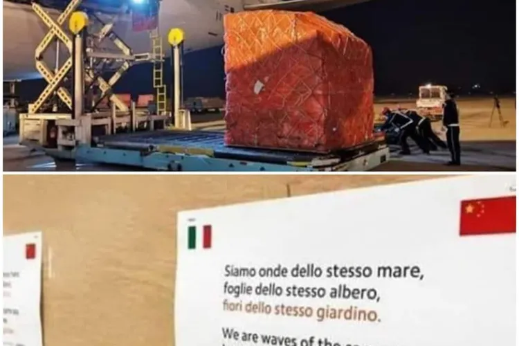 Mesajul scris de chinezi pe transportul cu ajutoare trimis în Italia - FOTO