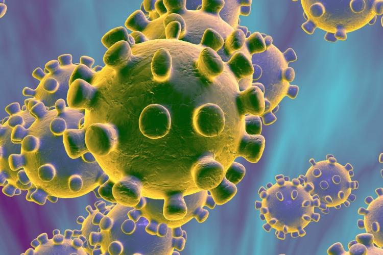 S-a găsit un anticorp care poate combate coronavirusul