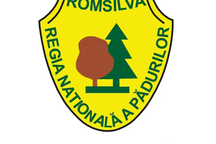 Mii de controale efectuate de Romsilva pe perioada stării de urgență. S-au confiscat peste 800 metri cubi de lemne