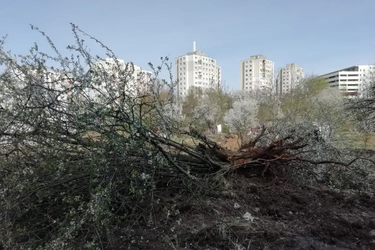 Boc: La terenuri, în Mănăștur, nu este încă aprobat niciun bloc