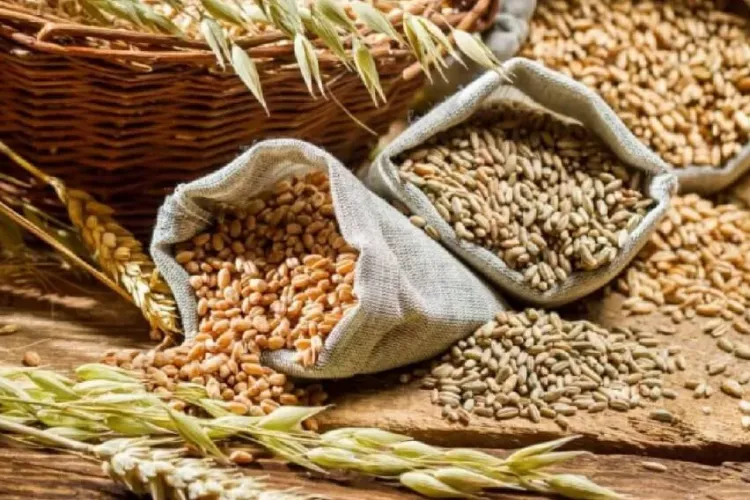 România a adoptat o nouă ordonanță militară ce permite exportul de cereale