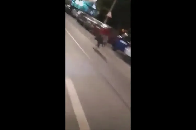 Natura pune stăpânire pe Mănăștur! Mistreț filmat pe strada Izlazului - VIDEO