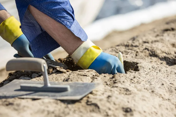 Românii s-au AMENINȚAT între ei la o fermă de sparanghel din Germania: ”Îți vei găsi familia în scaun cu rotile”