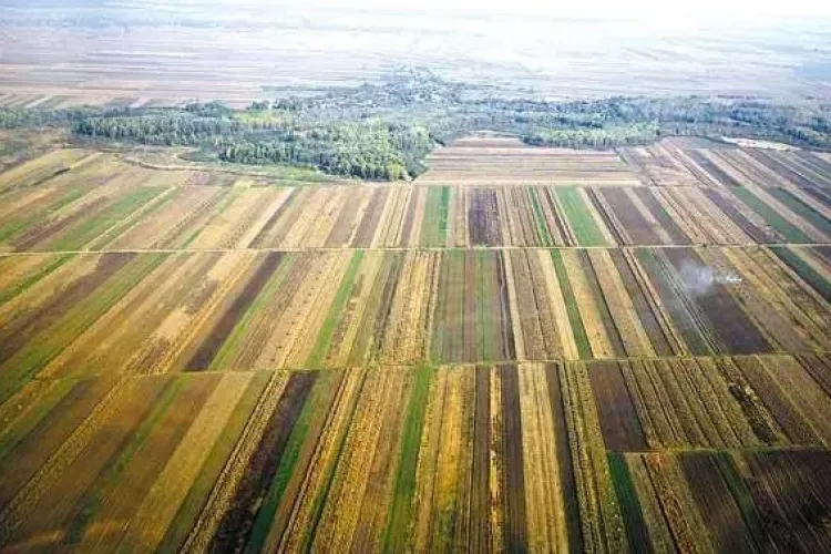 Guvernul anunță noi măsuri de sprijin pentru procurarea de deziznfectanți și pentru agricultură