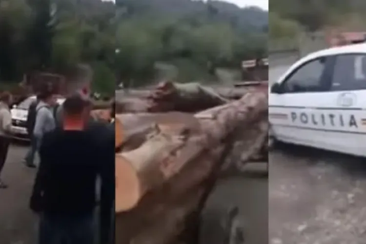Sătenii din Poienile de Sub Munte, Maramureș, au oprit un transport ilegal de lemne. A ieșit scandal - VIDEO