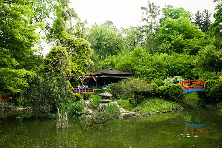 Se redeschide parțial și Gradina Botanică din Cluj-Napoca