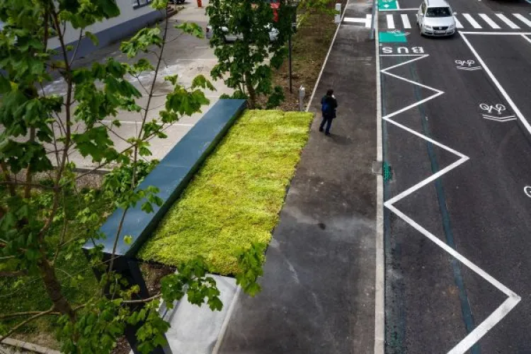 A fost inaugurată strada Bună Ziua în prima zi de libertate, după starera de urgență - FOTO