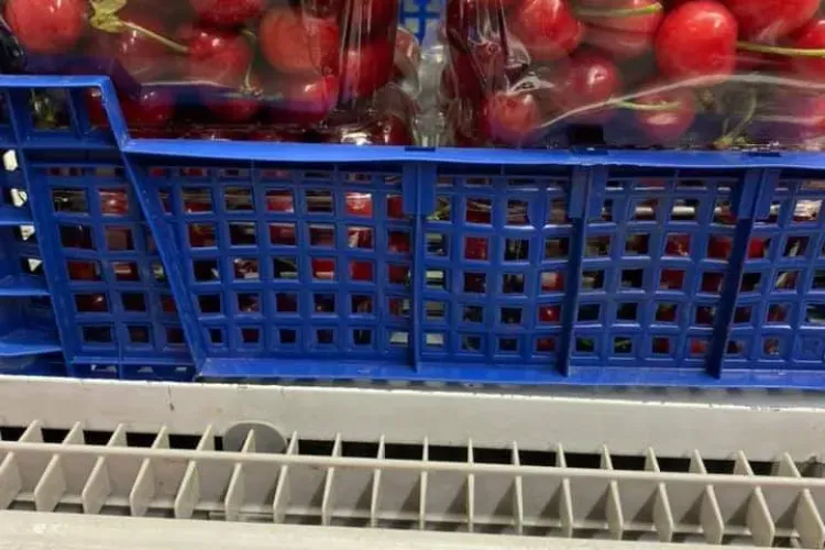 Preț astronomic la cireșe și la Cluj-Napoca - FOTO