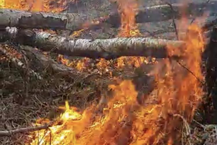 Încă un incendiu de pădure la Cluj. Flăcările au cuprins hectare întregi VIDEO