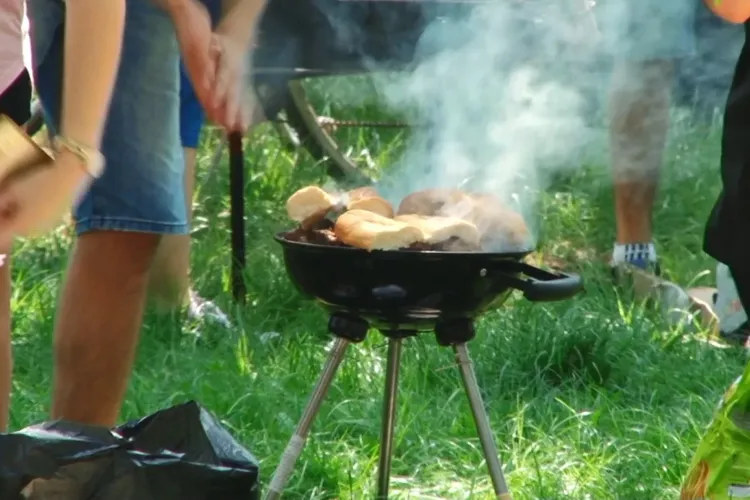 Este permis grătarul de 1 mai? Ce răspuns a dat premierul Ludovic Orban