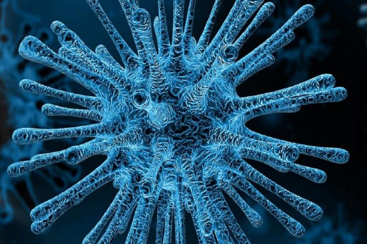 Au fost anunțate șase noi simptome care indică infectarea cu coronavirus