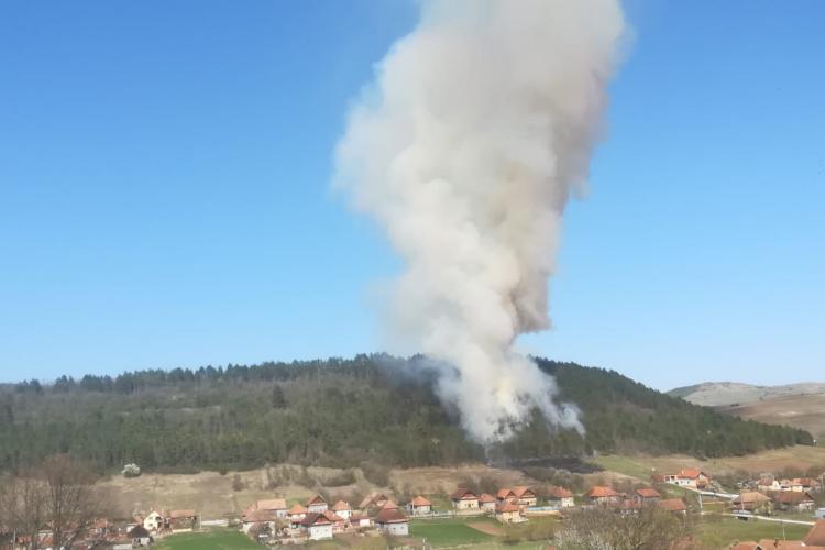 CLUJ: Trei hectare de pădure arse în urma unui incendiu! Totul a pornit de la o gospodărie FOTO