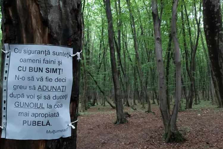 Experiment în Făget! Nu mai aruncați gunoaie. Sunteți oameni faini - FOTO