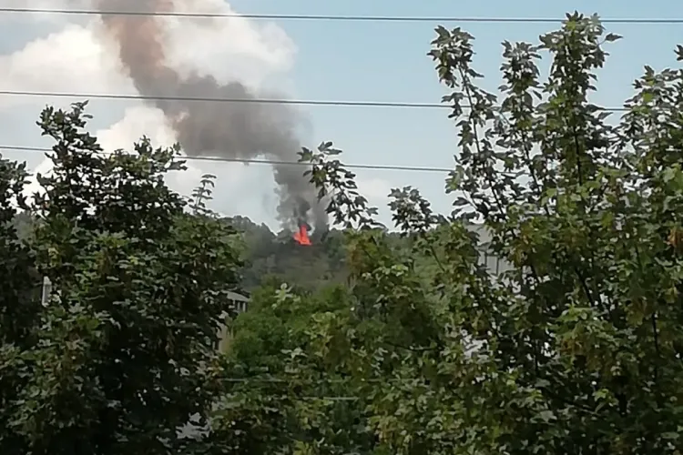 Arde pădurea Hoia! Trei echipaje de pompieri intervin VIDEO