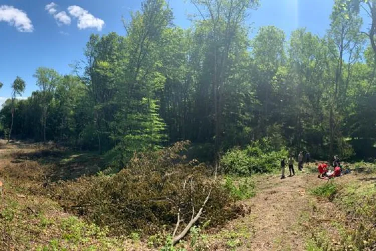 Accident de muncă grav, într-o pădure din Cluj! Un tânăr aflat în comă a fost dus cu elicopterul la spital FOTO