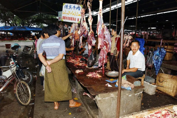 China a interzis consumul de animale sălbatice în zona ZERO a pandemiei