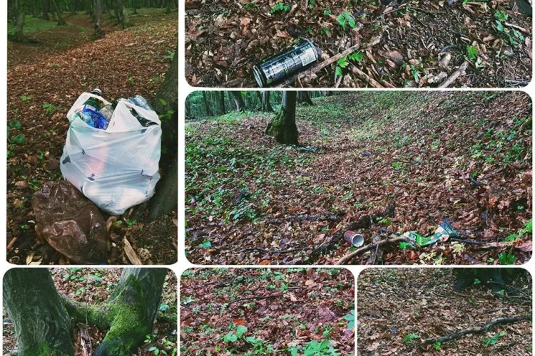 Pădurea din Florești, plină de sticle, pet -uri și mizerie, lăsate de ”iubitorii” naturii - FOTO