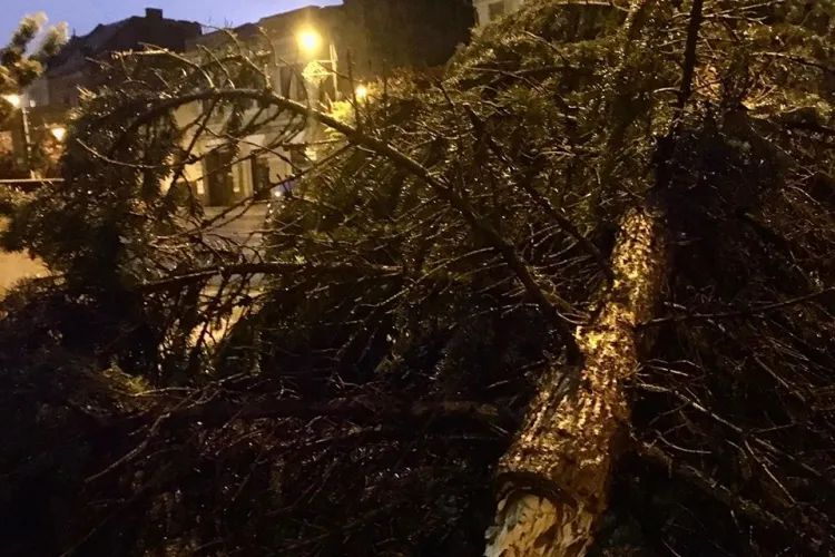 Turda a fost lovită de furtuna de sâmbătă seara. Vijelia a rupt brazii - FOTO   