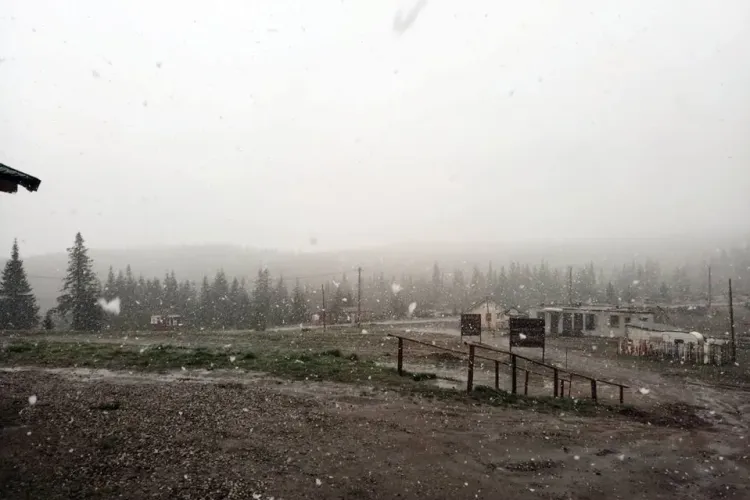 Ninge ca în povești la Buscat - FOTO