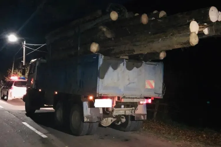 Controale pentru prevenirea infracțiunilor silvice la Cluj. S-au dat amenzi în valoare de 10.000 de lei