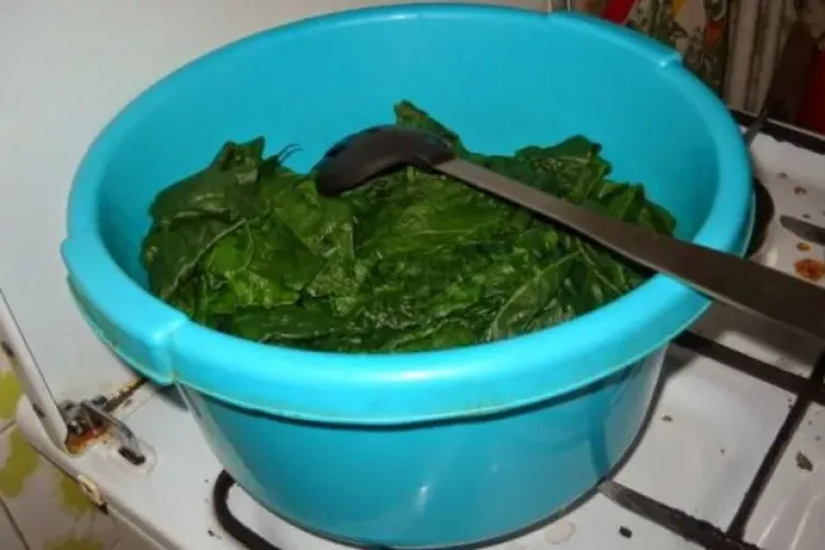 Gătește CORECT spanacul pentru a păstra calitățile nutritive ale legumei